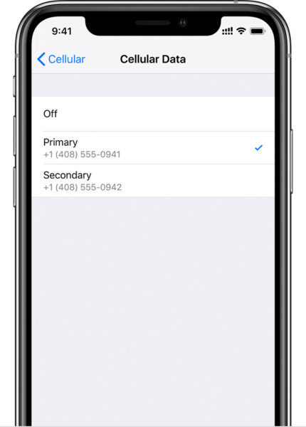 Поддержка двух SIM-карт в новых iPhone Xs и iPhone Xs Max